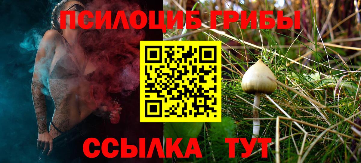 Галлюциногенные грибы мицелий  Вход с VPN  Кинель 